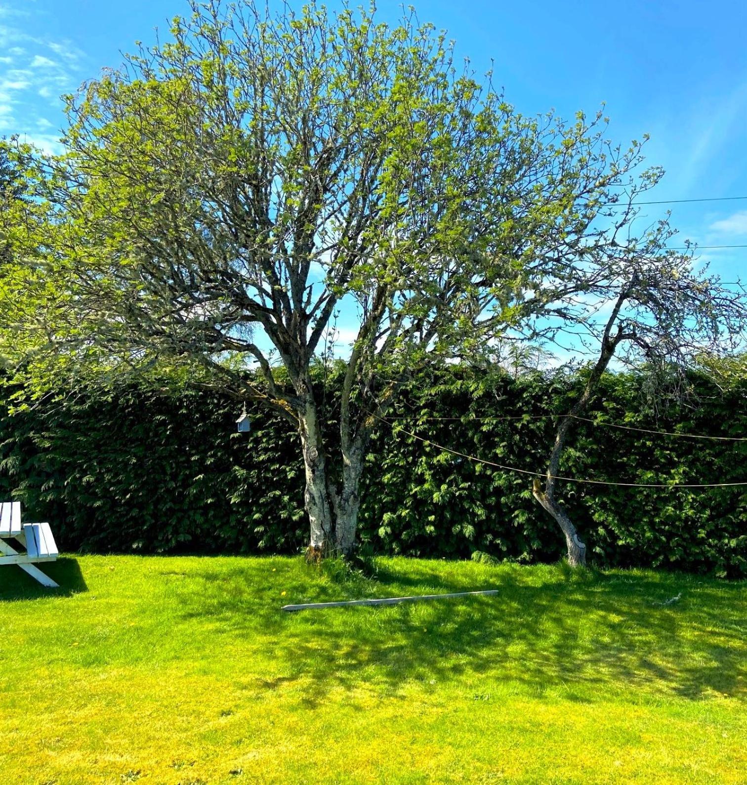 26 Green Drive Inverness Inshes Exteriör bild